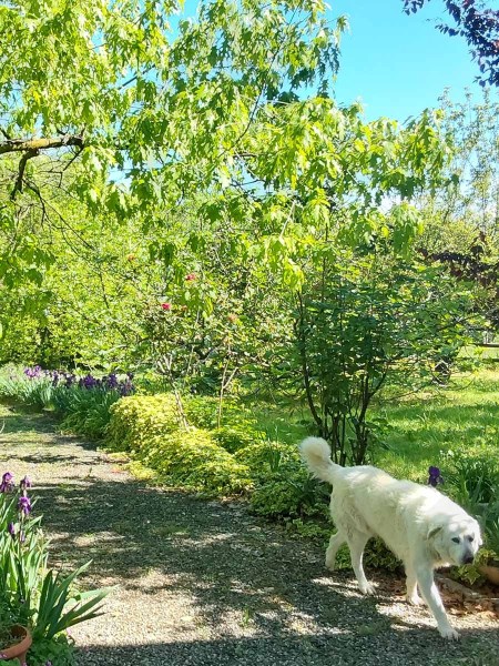 Jardin-LaMamita-entorno-natural