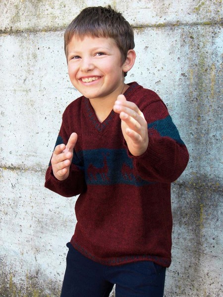 Jerseys-de-alpaca-ninos