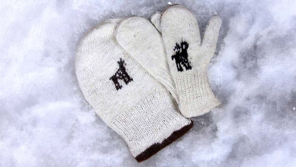 Accesorios Doubleface Accesorios Doubleface